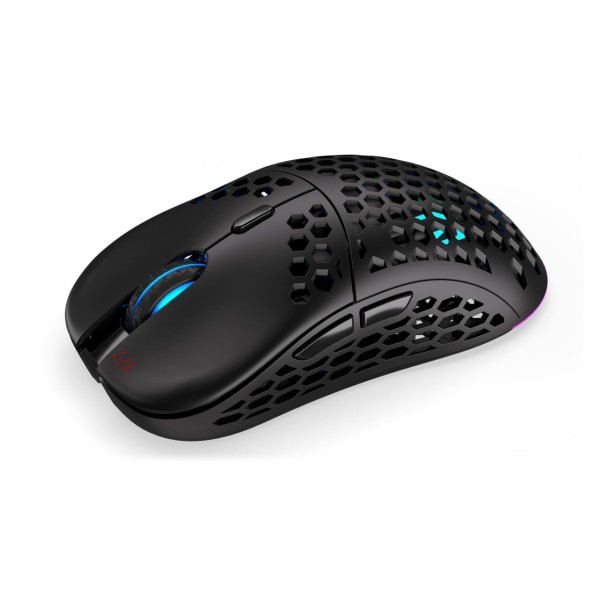 ENDORFY LIX mouse Ambidextrous RF Wireless ...