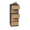 Topeshop W5 ANT/ART KPL chest of drawers