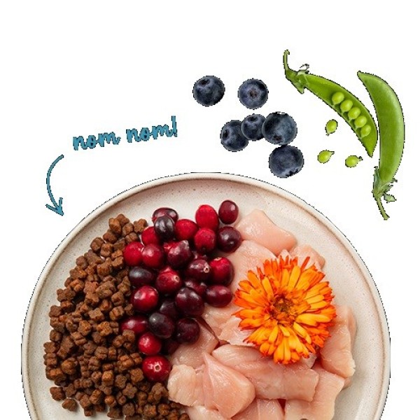 BOSCH Sanabelle Kitten Chicken with cranberries ...