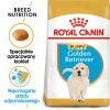 ROYAL CANIN Golden Retriever Puppy - dry dog food - 12 kg