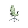 Ergonomic office chair ERGO 500 green