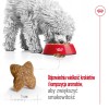 ROYAL CANIN Adult Mini S - dry dog food - 2kg