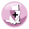 PREVITAL Senior Salmon - dry cat food - 1,4kg
