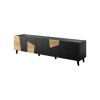 RTV cabinet ETNA 200x42x52 black matt + oak craft