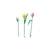 LEGO BOTANICALS 11501 Tulip Bouquet