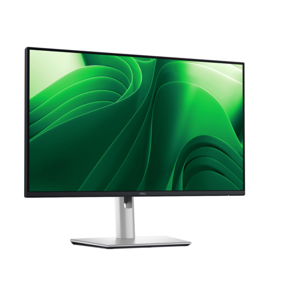 Dell LCD P2425D, 24