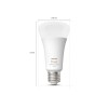 Hue WCA 13.5W A67 E27 | E27 | 13.5 W | RGBW 2000-6500K | Bluetooth and Zigbee