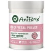 ANIFORTE Liver vetal powder - supplements for dogs - 100g
