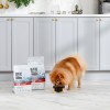 RAW PALEO Ultra Mini Adult Beef - dry dog ​​food - 750 g