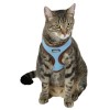 KERBL Adjustable Cat Harness with Leash 120 cm - Blue