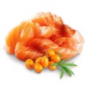 SHELMA Kitten with salmon in sauce - wet cat food - 85g