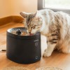 Cecotec Pumba 2500 Refresh Smart Pet Fountain