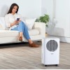 Taurus Pleasant 12l dehumidifier