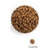 Acana Adult Large Breed 11,4 kg