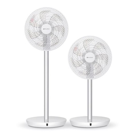 FAN STANDING TUKAN/COP001213 STYLIES