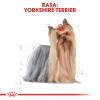 Royal Canin Yorkshire Terrier Adult 85 g