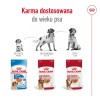 ROYAL CANIN SHN Medium Adult in sauce - wet food for adult dogs - 10x140g