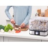 LAFE SGB001  Food dehydrator, 250 W