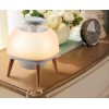 MOSQUITO TRAP REVA/COP001279 STYLIES