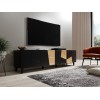 RTV cabinet ETNA 200x42x52 black matt + oak craft