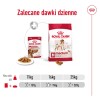 ROYAL CANIN SHN Medium Adult in sauce - wet food for adult dogs - 10x140g