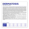 VET EXPERT Veterinary Diet Dermatosis Dog Salmon & Potato - dry dog food - 12 kg