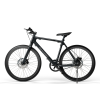 Sharp Hybrid E-Bike | 250 W | 21 