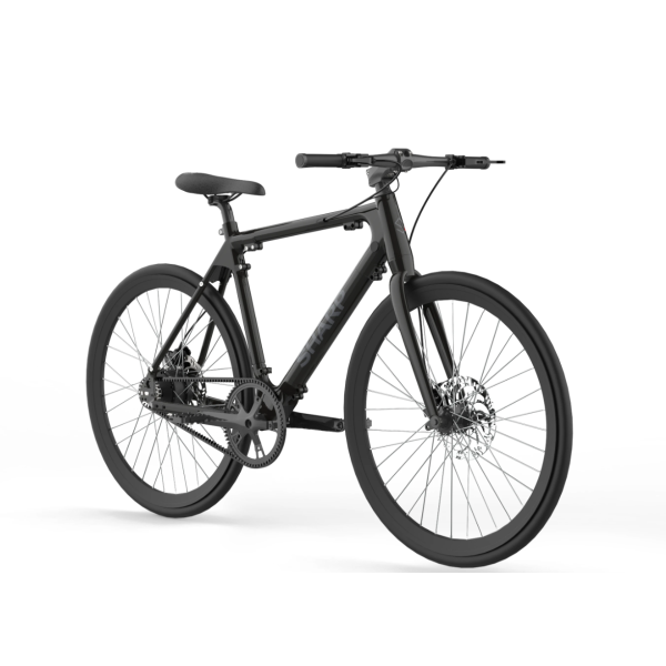 Sharp Hybrid E-Bike | 250 W ...