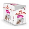 ROYAL CANIN Exigent Wet dog food Pâté 12x85 g