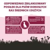 PUPIL PREMIUM M&L bogata w wołowinę  12kg