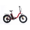 BIKE ELECTRIC 20