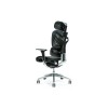 Ergonomic office chair ERGO 700 black