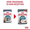 ROYAL CANIN Hairball Care Wet cat food Chunks in sauce 12x85 g