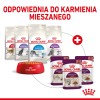 Karma Royal Canin Sensory Feel gravy 12x85g