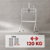 Maclean TV stand / cart, camera shelf, on casters, 55-100", max load 120kg/10kg shelf, max. VESA 900x600, white, MC-114 W