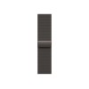 42mm Slate Milanese Loop