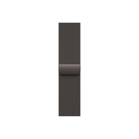 42mm Slate Milanese Loop