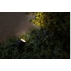 OUTDOOR LIGHTING SYSTEM STIG 12V PL3023