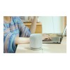 Sony Speaker | SRS-LS1 LinkBuds | Waterproof | Bluetooth | Light Gray | Portable | Wireless connection