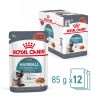 ROYAL CANIN Hairball Care Wet cat food Chunks in sauce 12x85 g