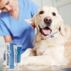 JM SANTE POLISEPT VET GEL opatrunek żelowy 30ml