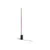 Philips Hue Gradient Signe floor lamp, black | Philips Hue | Hue Gradient Signe Floor Lamp | Black | Floor lamp