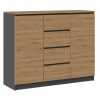 Topeshop 2D4S ANT/ART BA KPL chest of drawers