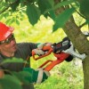Black & Decker GK1000-QS power lopper