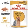 Royal Canin Yorkshire Terrier Adult 85 g