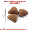 ROYAL CANIN Indoor 27 - dry cat food - 2 kg