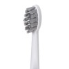 Adler | 2-in-1 Water Flossing Sonic Brush | AD 2180w | Rechargeable | For adults | Number of brush heads included 2 | Number of teeth brushing modes 1 | White