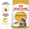 ROYAL CANIN FBN Maine Coon Adult dry cat food - 10kg