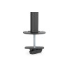 Digitus Desk Mount | DA-90438 | Adjustable Height, Rotate, Tilt, Swivel | 17-32 