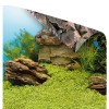 JUWEL Mural/Poster 1S - mural for aquarium - 1 pc.